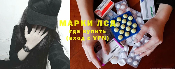 гидра Вязьма
