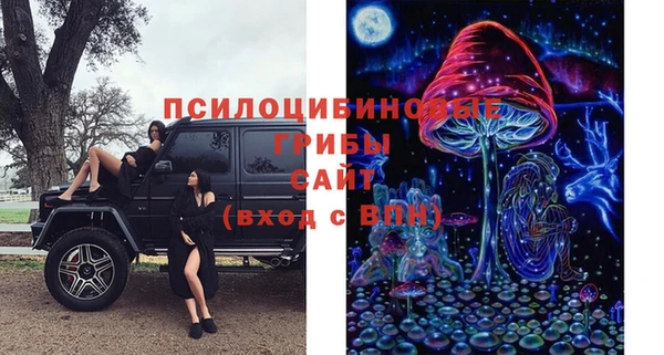 индика Волосово