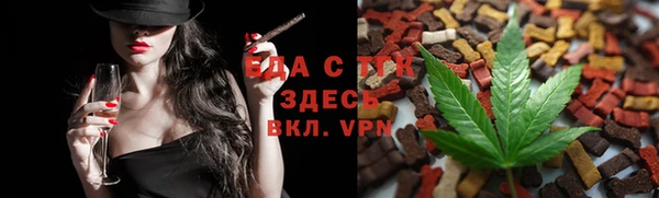 гидра Вязьма
