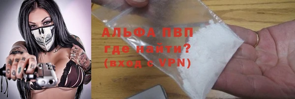 гидра Вязьма