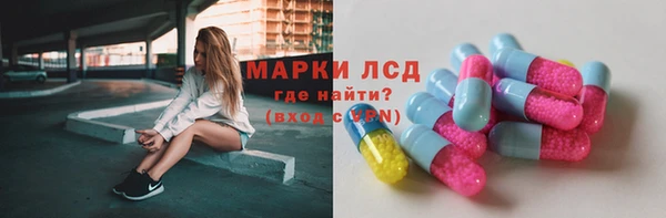 гидра Вязьма