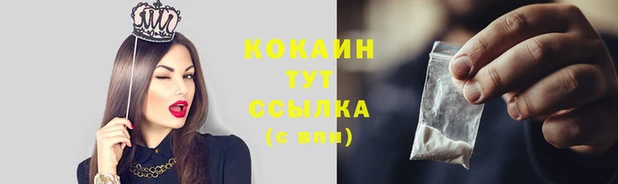 индика Волосово