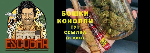 индика Волосово