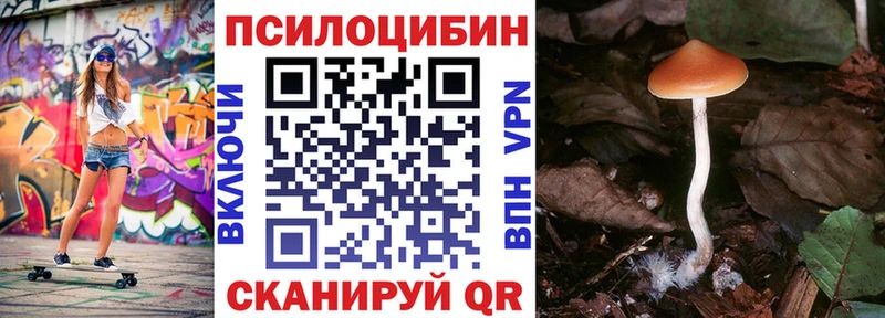 Галлюциногенные грибы Cubensis  Звенигород 